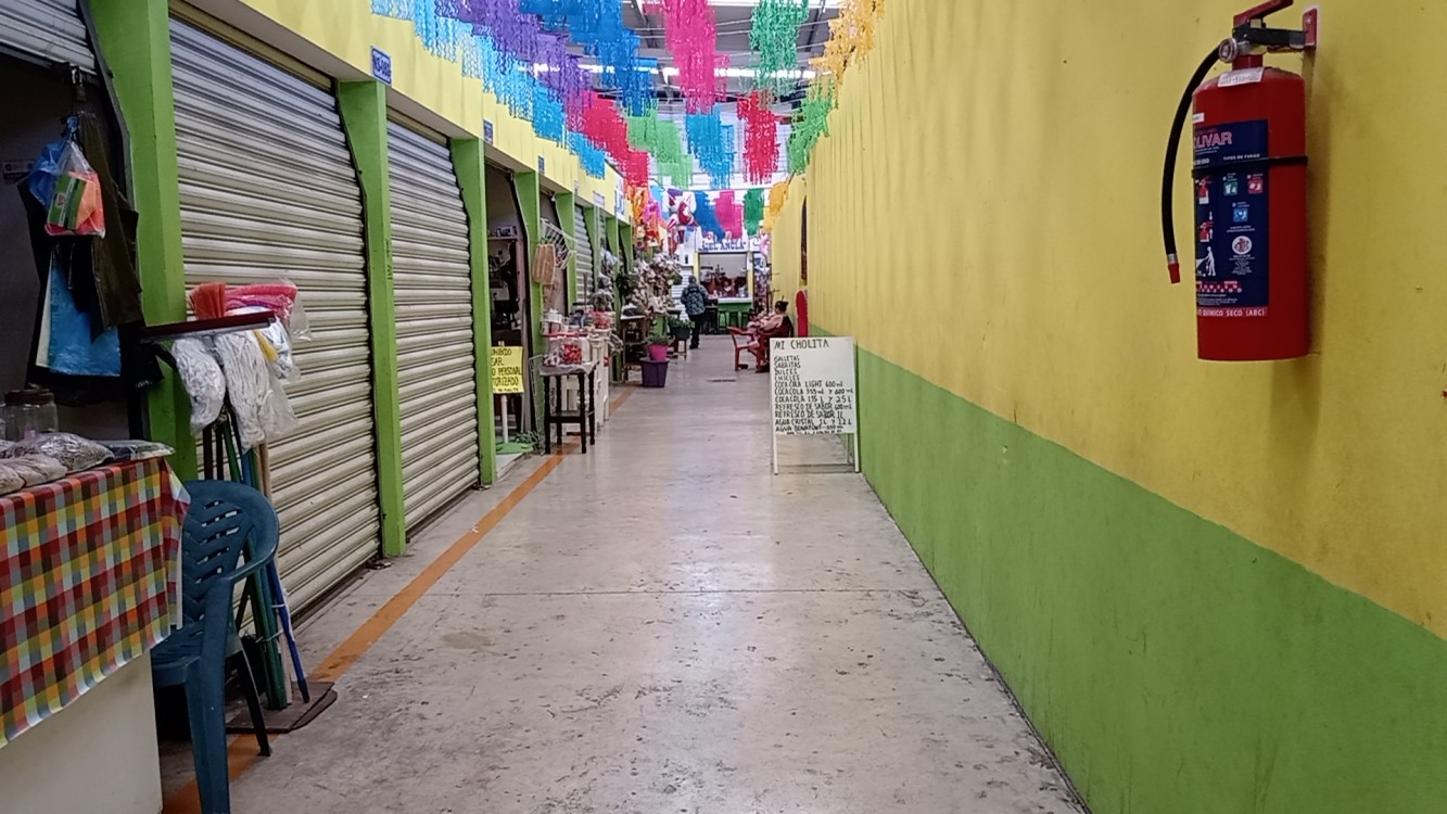 Dalila Mata debe gestionar recursos para la reactivación económica