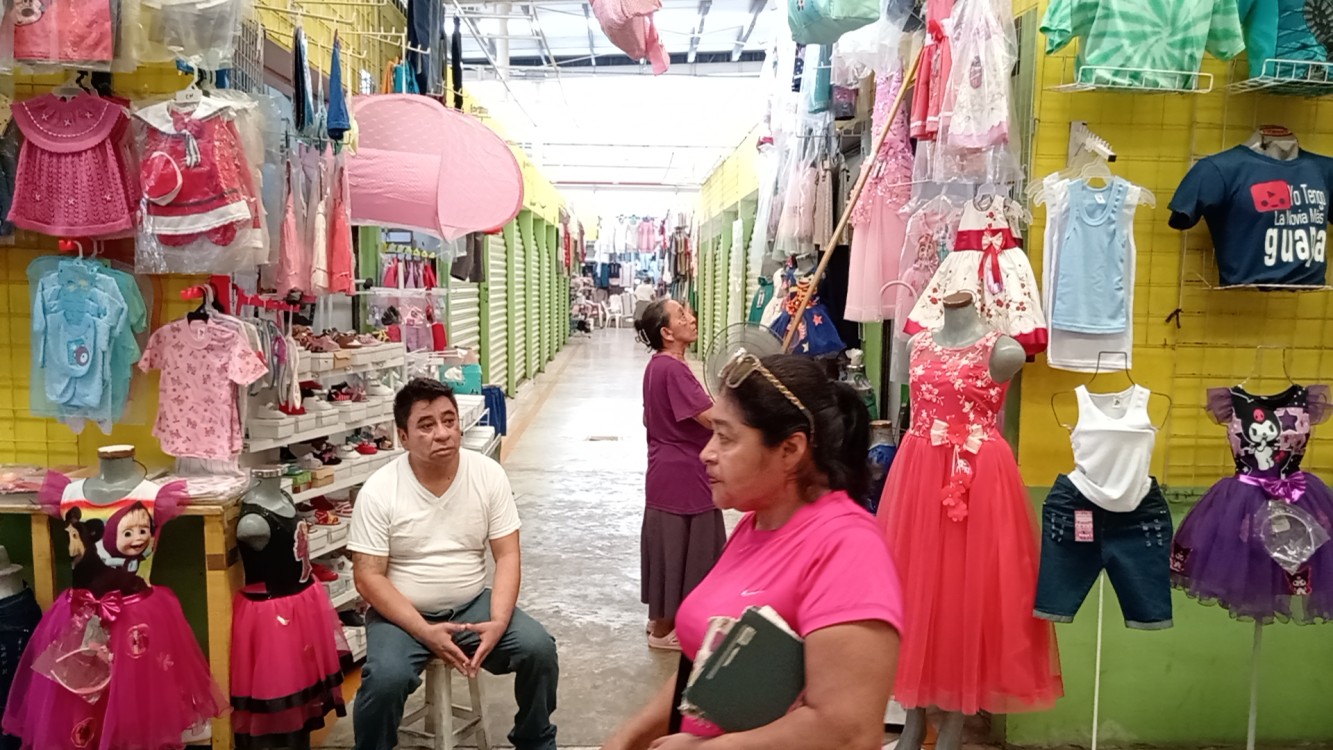 Dalila Mata debe gestionar recursos para la reactivación económica