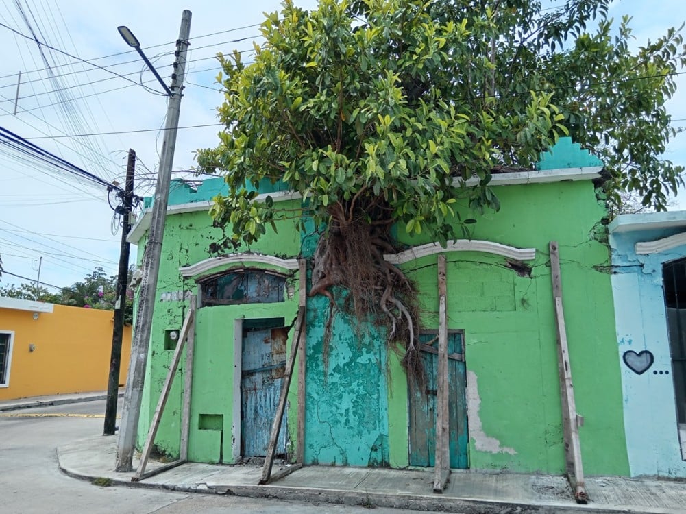 Desarrollo Urbano ha detectado seis viviendas antiguas en riesgo de colapso