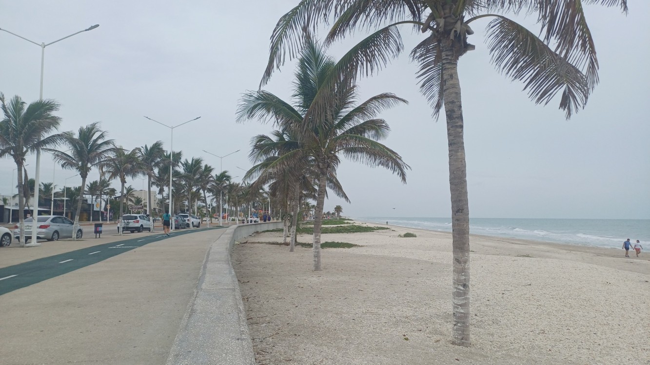 Pago a petroempresas detonaría la economía en Ciudad del Carmen