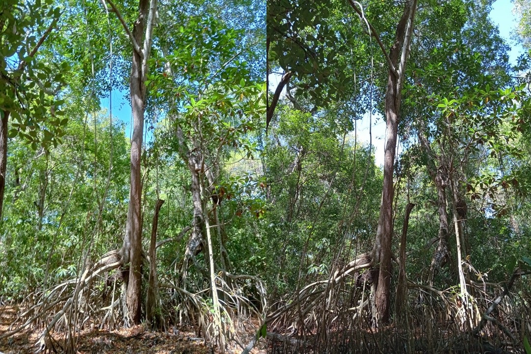 Turismo de aventura o de sendero en Atasta