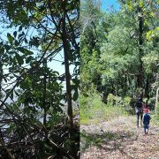 Turismo de aventura o de sendero en Atasta