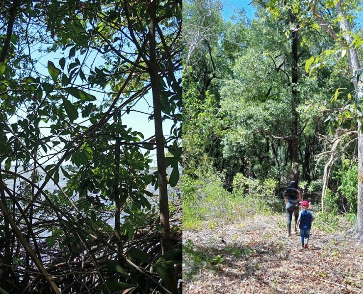 Turismo de aventura o de sendero en Atasta