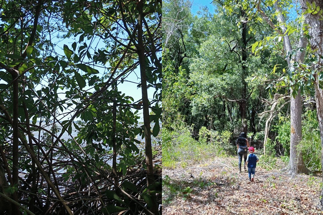Turismo de aventura o de sendero en Atasta