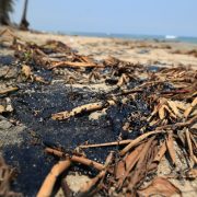 Pemex compensará con combustible a pescadores afectados por derrame en Tabasco