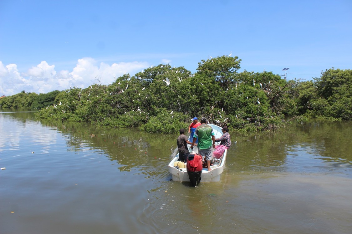 Lluvias favorecen a la pesca en Atasta