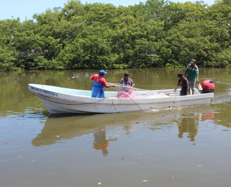 Lluvias favorecen a la pesca en Atasta