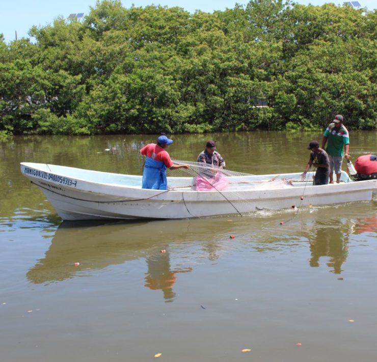 Lluvias favorecen a la pesca en Atasta