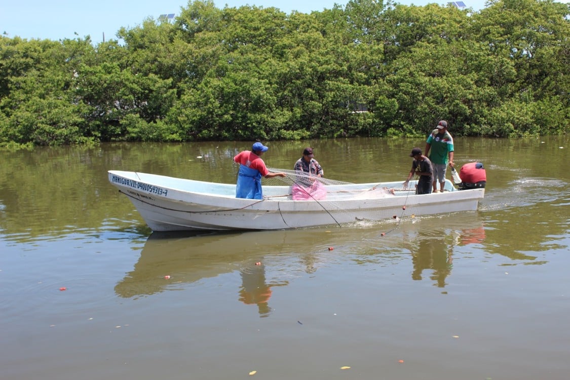 Lluvias favorecen a la pesca en Atasta