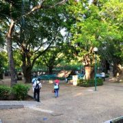 Proyecto del Museo Nacional Olmeca