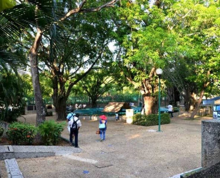 Proyecto del Museo Nacional Olmeca