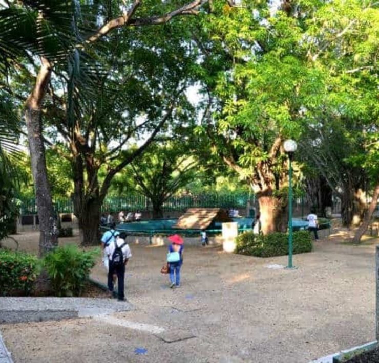 Proyecto del Museo Nacional Olmeca