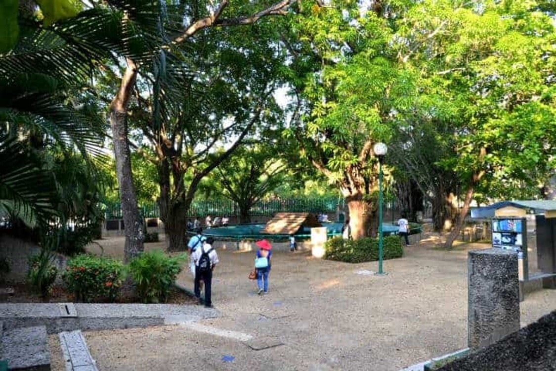 Proyecto del Museo Nacional Olmeca