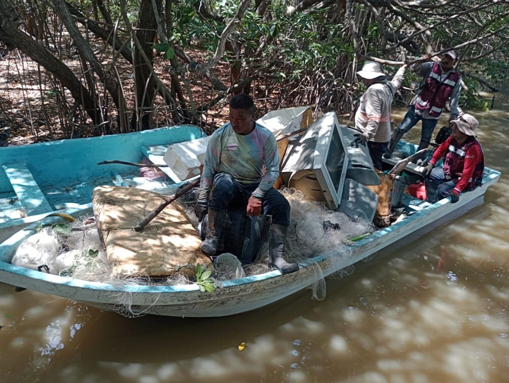 Pescadores dejan redes entre manglares