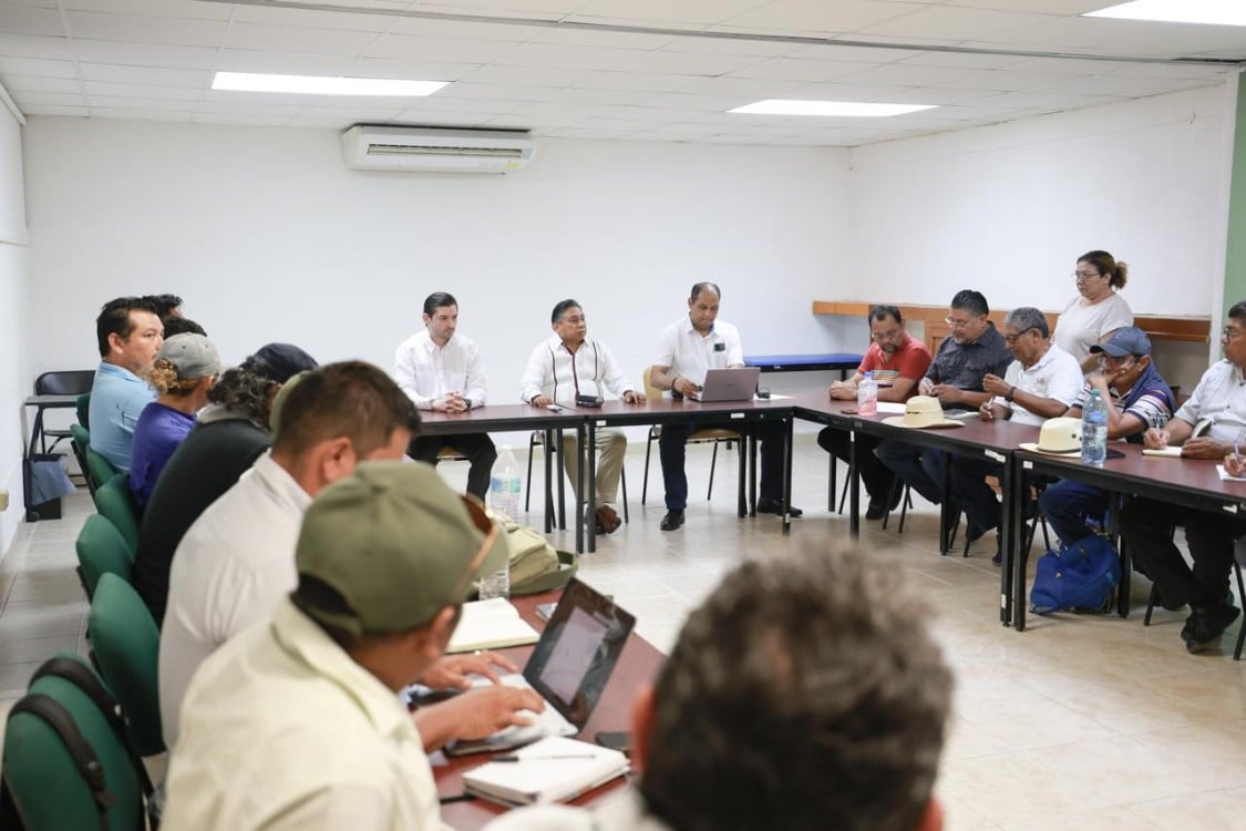 Reanudarán las clases este lunes en Yucatán tras histórica decisión