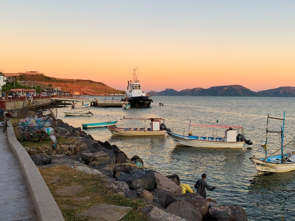 Topolobampo se perfila como polo industrial con planta de metanol – lachispa.mx