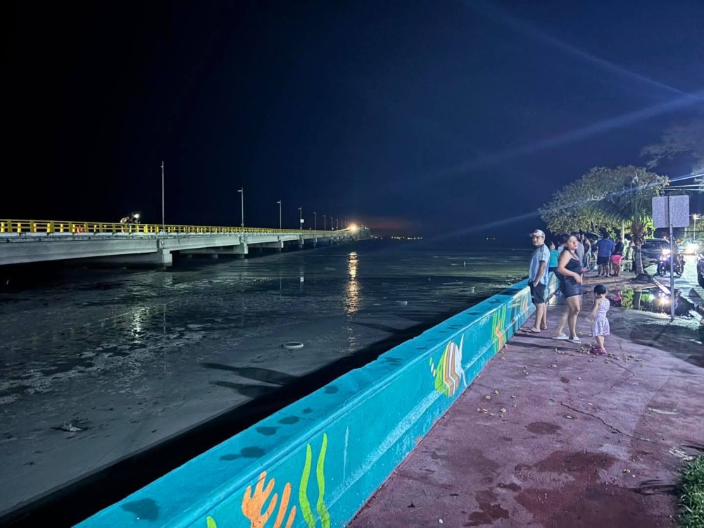 Aguacero no afectó nidos de tortugas en la Laguna de Términos