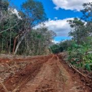 Ecocidas inmobiliarios destruyen reservas, por sus falsos desarrollos sustentables y ecoturismo