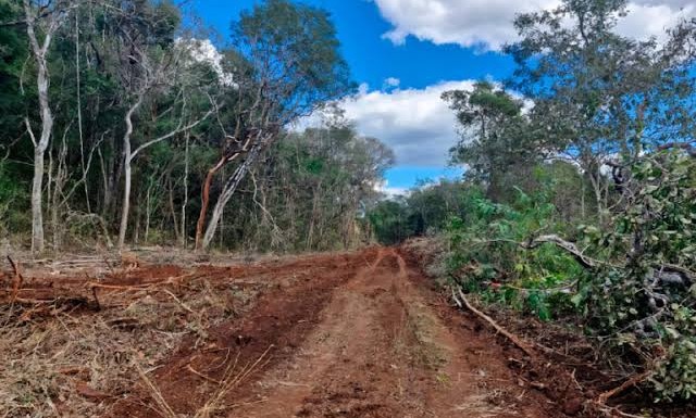 Ecocidas inmobiliarios destruyen reservas, por sus falsos desarrollos sustentables y ecoturismo