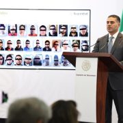 Desarticulan red de robo de hidrocarburos y rescatan animales exóticos en megaoperativo conjunto