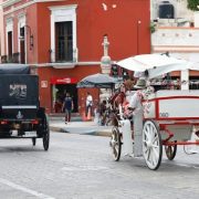 Mérida protege a sus caballos que tiran las calesa menos horas bajo el sol