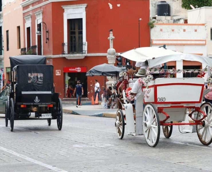 Mérida protege a sus caballos que tiran las calesa menos horas bajo el sol