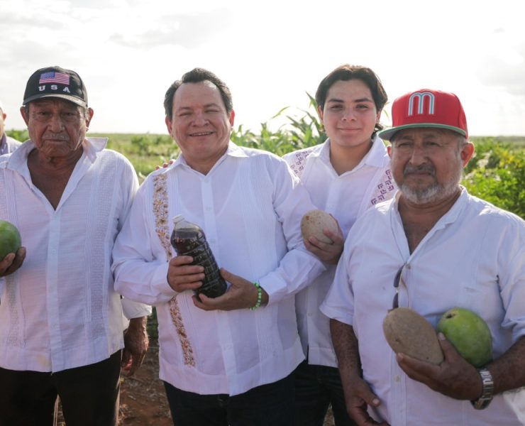 Avanza construcción de caminos sacacosechas en Yucatán para fortalecer el campo
