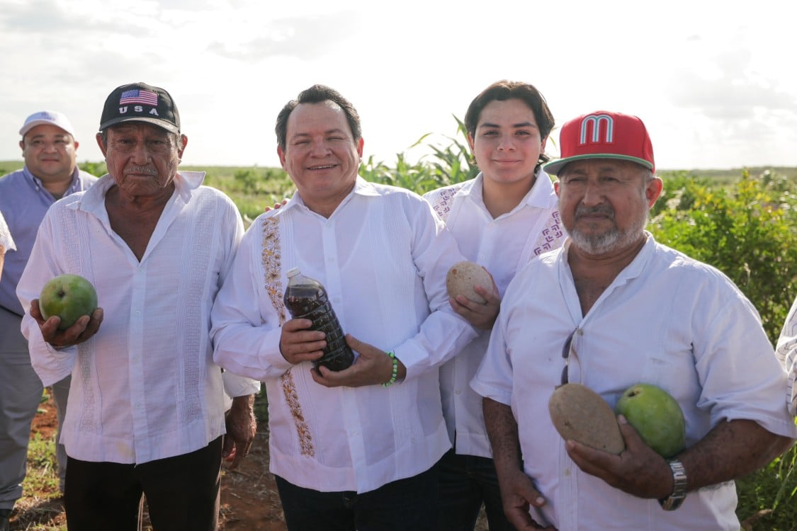 Avanza construcción de caminos sacacosechas en Yucatán para fortalecer el campo