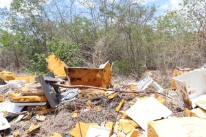 Acumulación de residuos y huellas de quema en la Reserva Cuxtal, evidencia del impacto ambiental por el desmonte y lotificación irregular en Cuxtal.