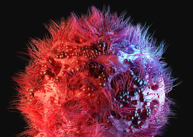 Se hace visible el VIH en células humanas