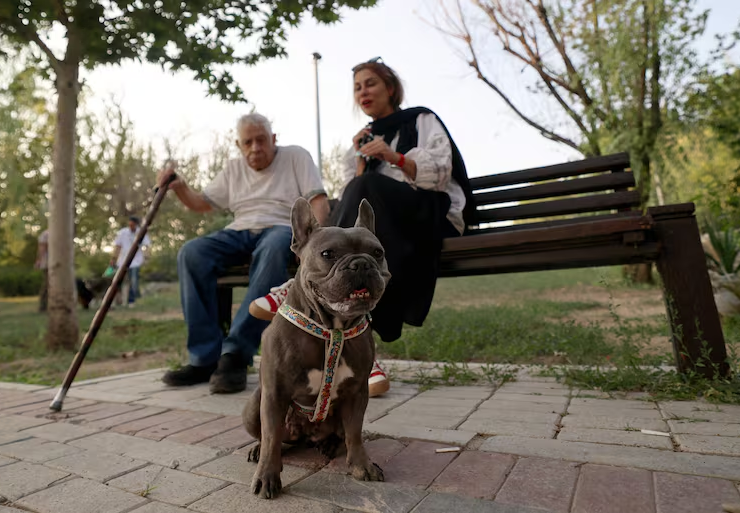 Irán prohíbe pasear perros en público