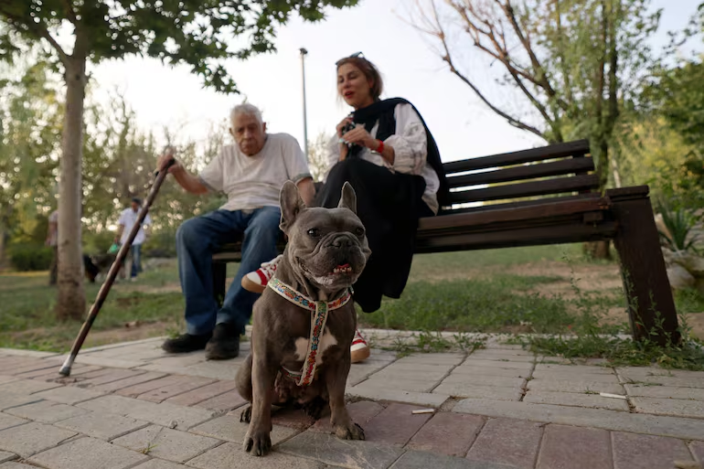 Irán prohíbe pasear perros en público