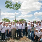 Renacimiento Verde: un programa de reforestación que sembrará más de un millón de árboles