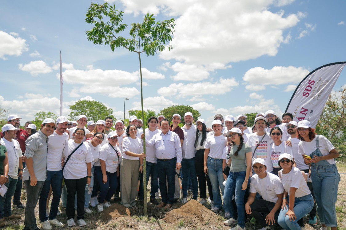 Renacimiento Verde: un programa de reforestación que sembrará más de un millón de árboles