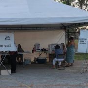 ¡Renovación total en el Tribunal! Elecciones del Poder Judicial de Yucatán