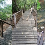Roban maderas del muelle del Ecosendero Interpretativo La Caleta