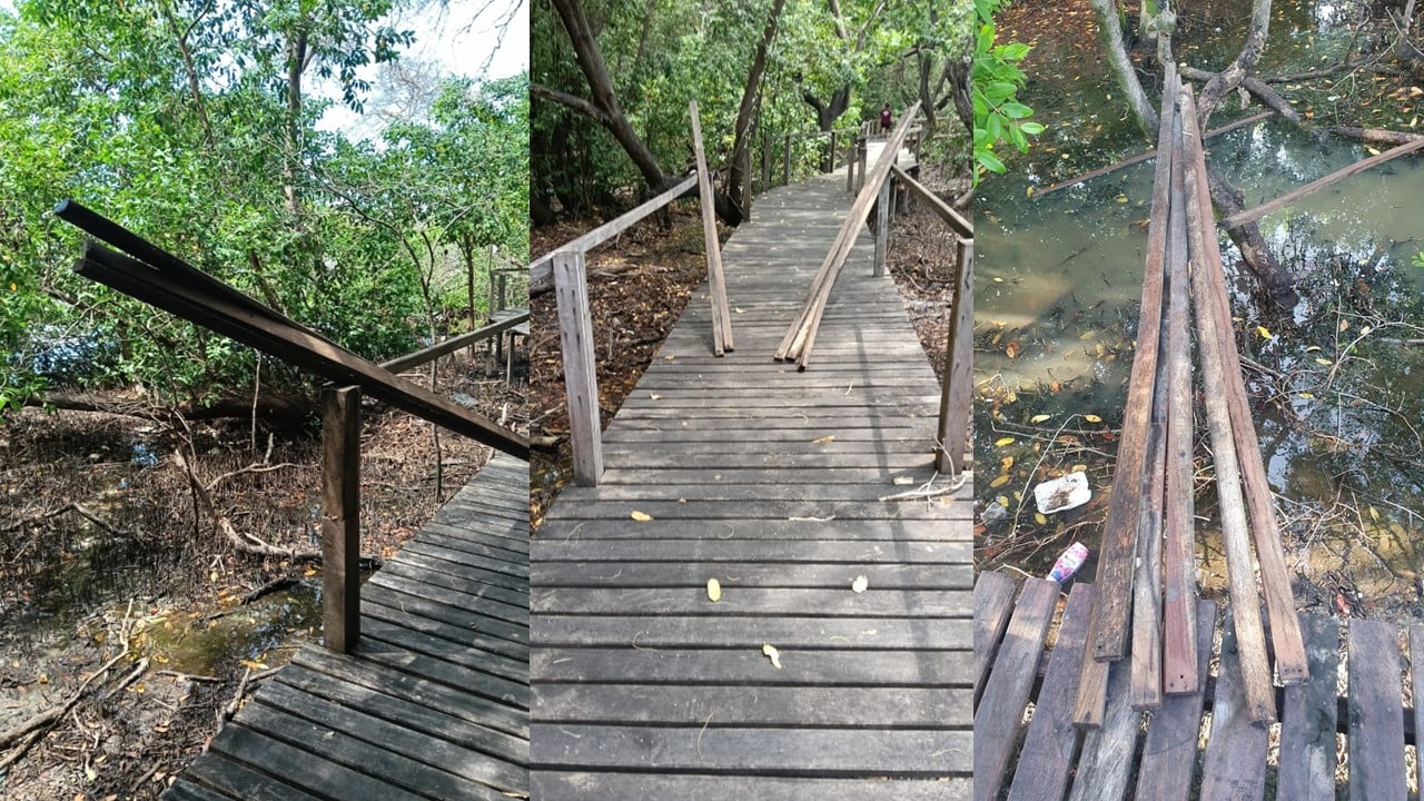 Roban maderas del muelle del Ecosendero Interpretativo La Caleta