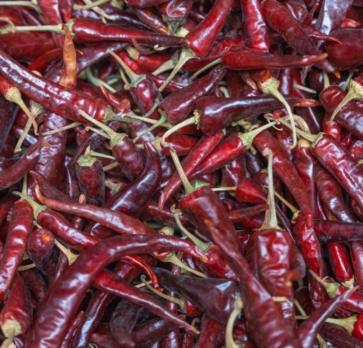 El chile: herencia viva que preserva la diversidad y la cultura campesina de México