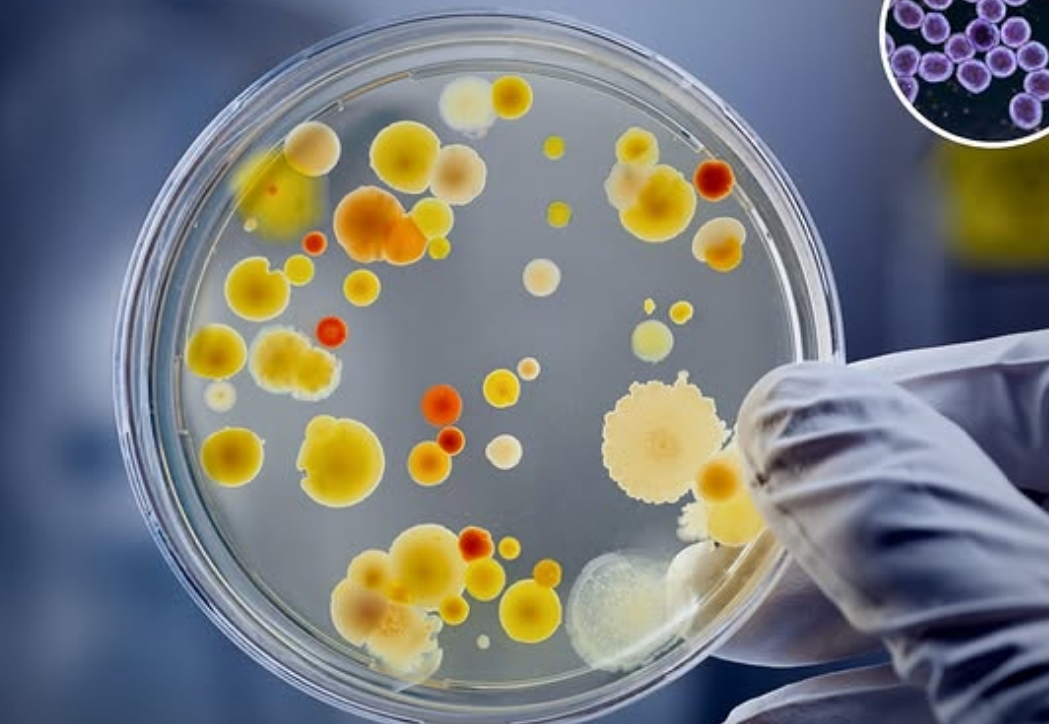 Ingredientes que solo funcionan juntos