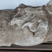 Revelan antigua estatua renacentista oculta en Francia: ¿Qué secretos esconde?