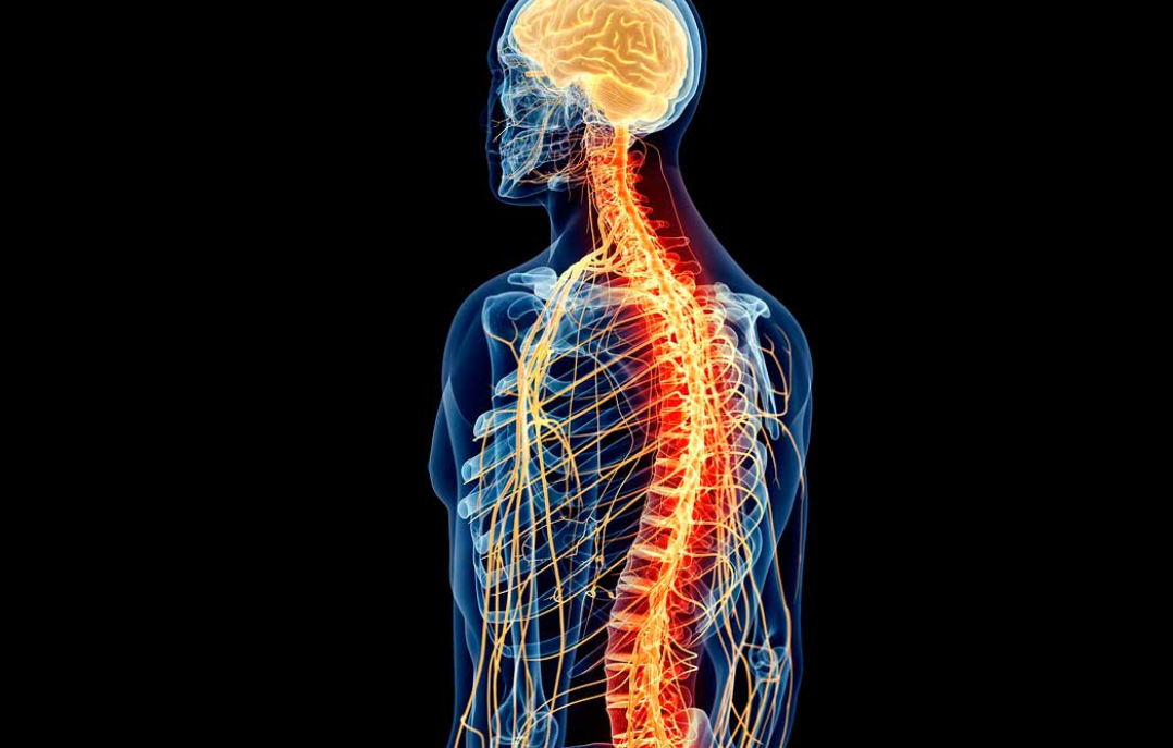 ¿Por qué un hombre queda paralizado por usar el baño?