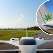 Canadá crea un avión más resistente que el acero y es de material biológico