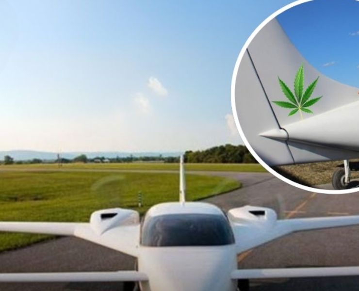 Canadá crea un avión más resistente que el acero y es de material biológico