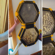 Joven diseña una colmena sus abejas, es impresa en 3D y alberga 40,000 ejemplares