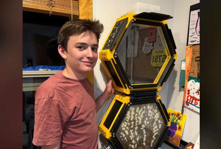 Convivencia, seguridad y anécdotas virales