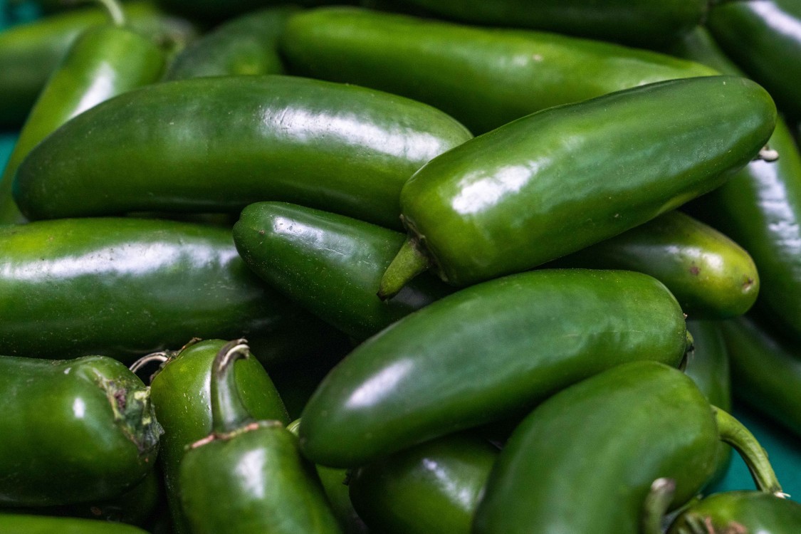 El chile: herencia viva que preserva la diversidad y la cultura campesina de México