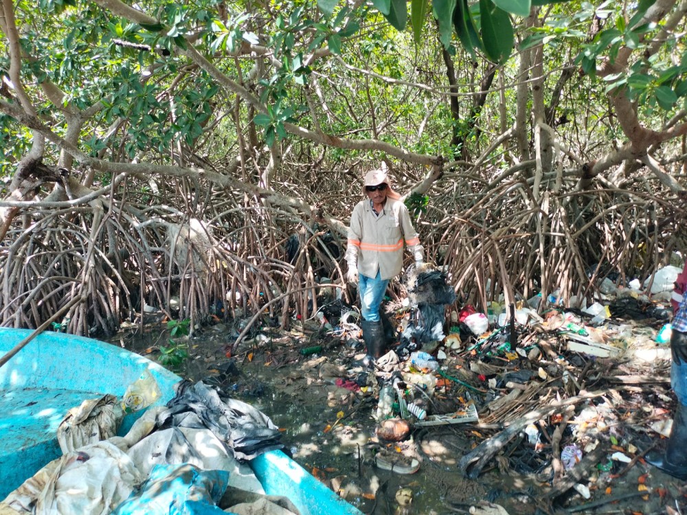 Lluvias arrastran basura a los arroyos