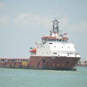 Ruido de barcos de petroempresas en la Laguna de Términos afecta a los Delfines