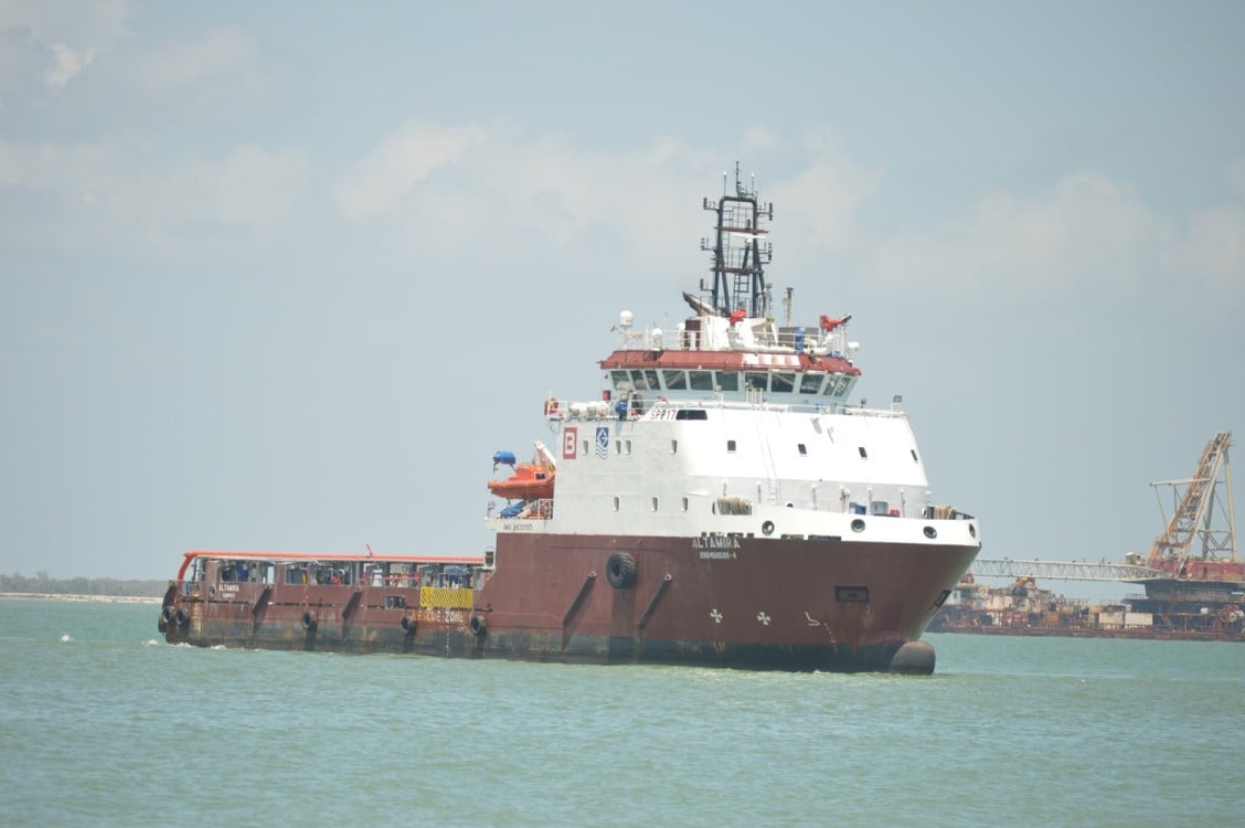 Ruido de barcos de petroempresas en la Laguna de Términos afecta a los Delfines