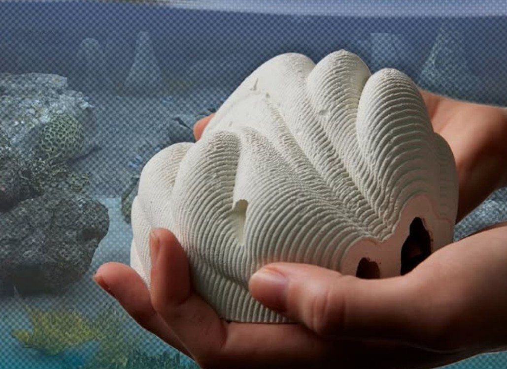 ¿Cómo se logra convertir a tus familiares en un arrecife?